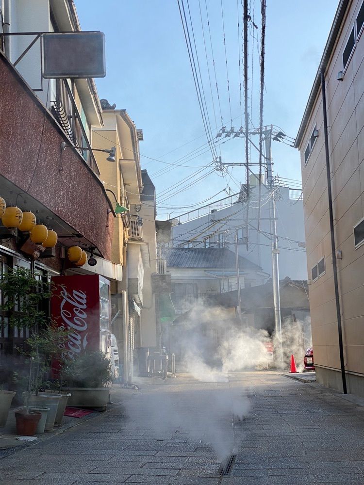 かめ_メグミさんが投稿した地熱観光ラボ縁間に関する口コミの画像