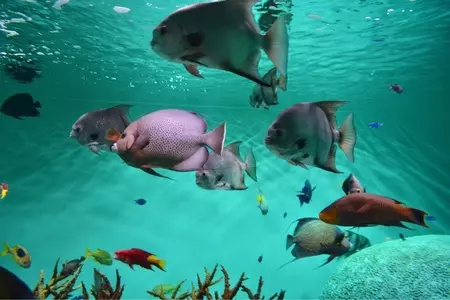 葛西臨海公園 バーベキュー広場