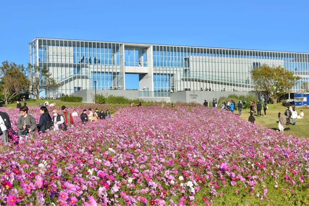 リトアニアの貴公子さんが投稿した葛西臨海公園 バーベキュー広場に関する口コミの画像