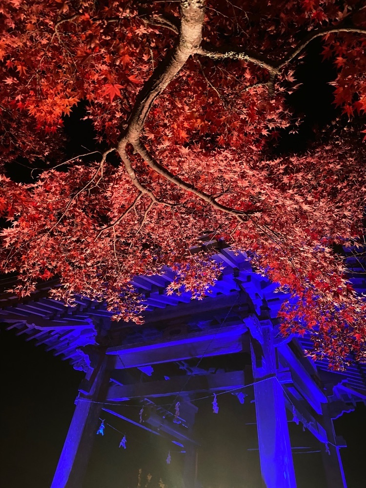 Musashiさんが投稿した宝蔵寺（福島県南相馬市）に関する口コミの画像