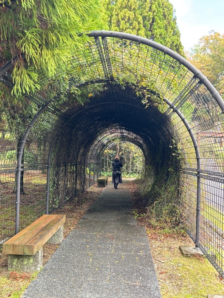 ぺたこ♡さんが投稿した播磨中央公園に関する口コミの画像