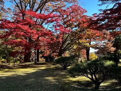 都立殿ヶ谷戸庭園