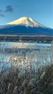 レイクサイド山中湖