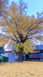 医王院