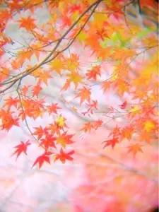 青井岳温泉