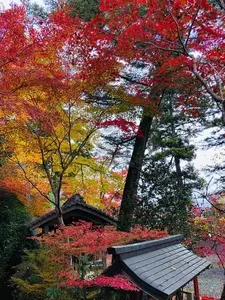 鍬山神社