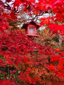 鍬山神社