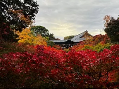 東福寺（京都府京都市）