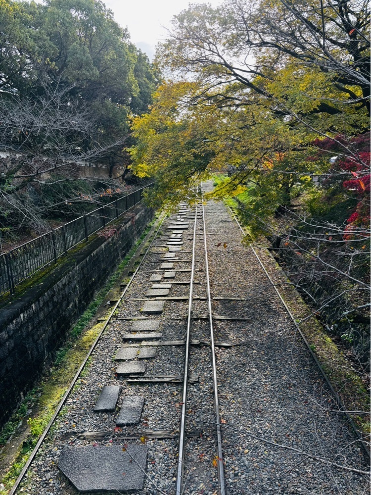 みーなさんが投稿した南禅寺の紅葉に関する口コミの画像