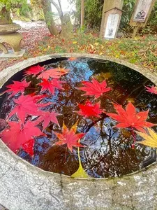 平等寺(三井寺)