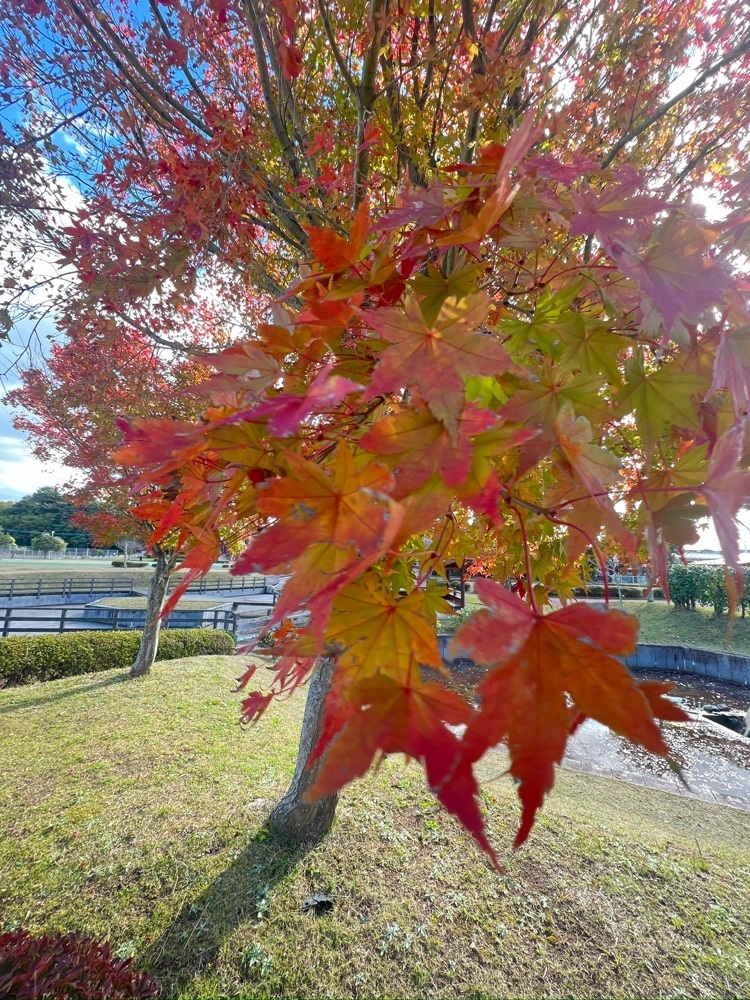 r_Rhapsodyさんが投稿した旧三井田川鉱業所伊田竪坑櫓に関する口コミの画像