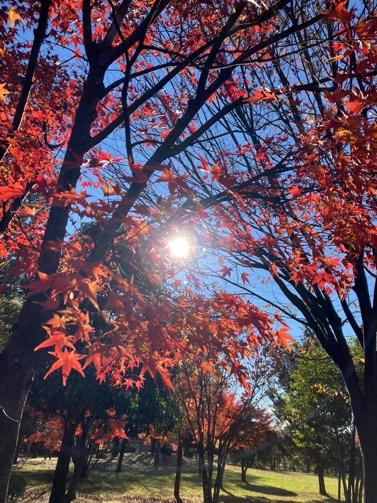 Nさんが投稿した山梨県立博物館に関する口コミの画像