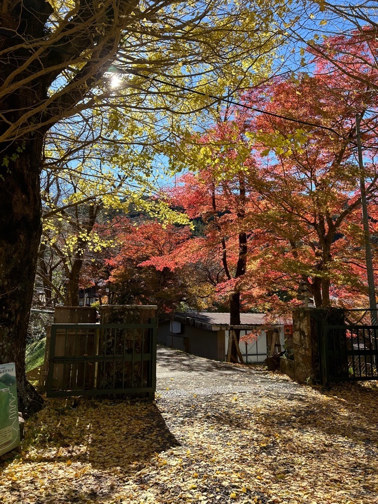 DREAMさんが投稿した鳳来寺に関する口コミの画像