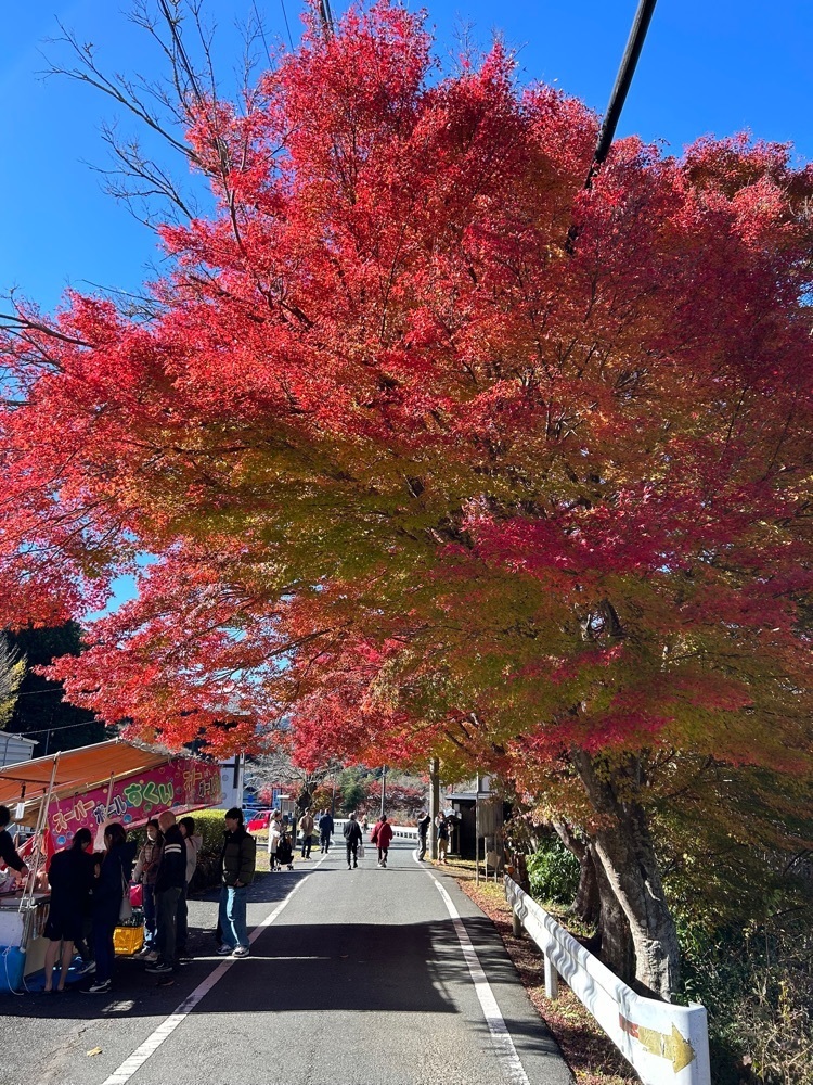 DREAMさんが投稿した鳳来寺に関する口コミの画像