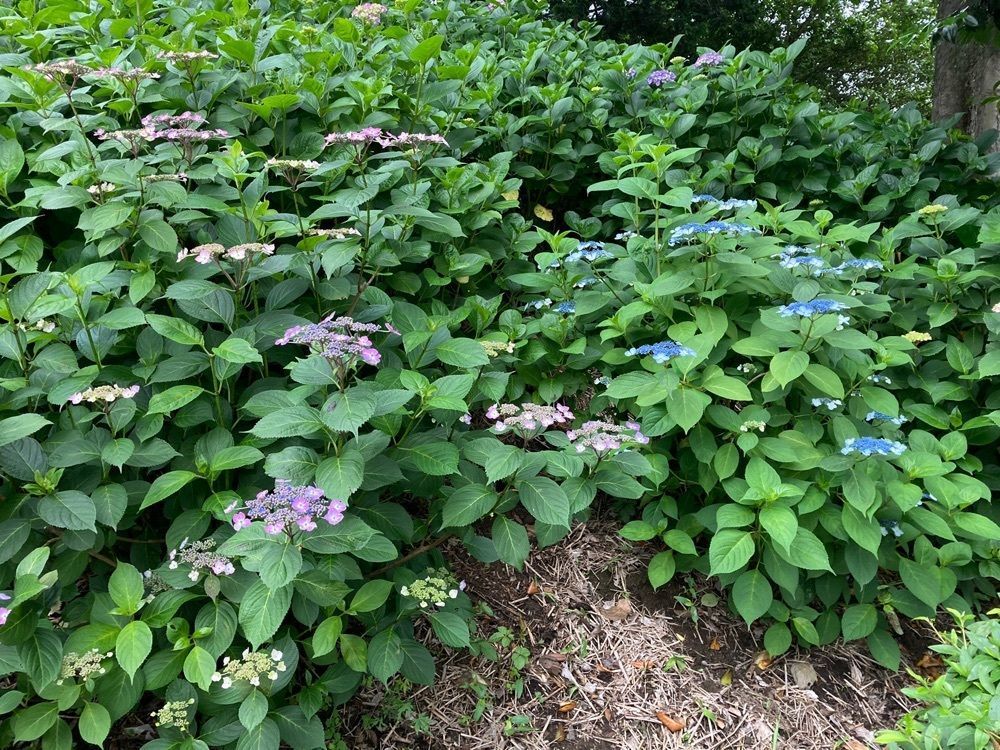 ply さんが投稿した大塚性海寺歴史公園に関する口コミの画像