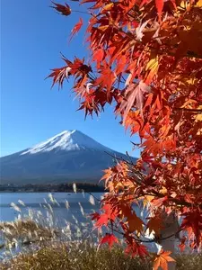 河口湖円形ホール