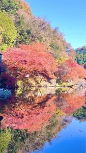 鎌北湖の紅葉