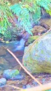 鎌北湖の紅葉