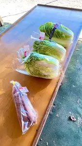 鎌北湖 2枚目