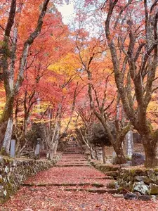 己高閣（鶏足寺収蔵庫）