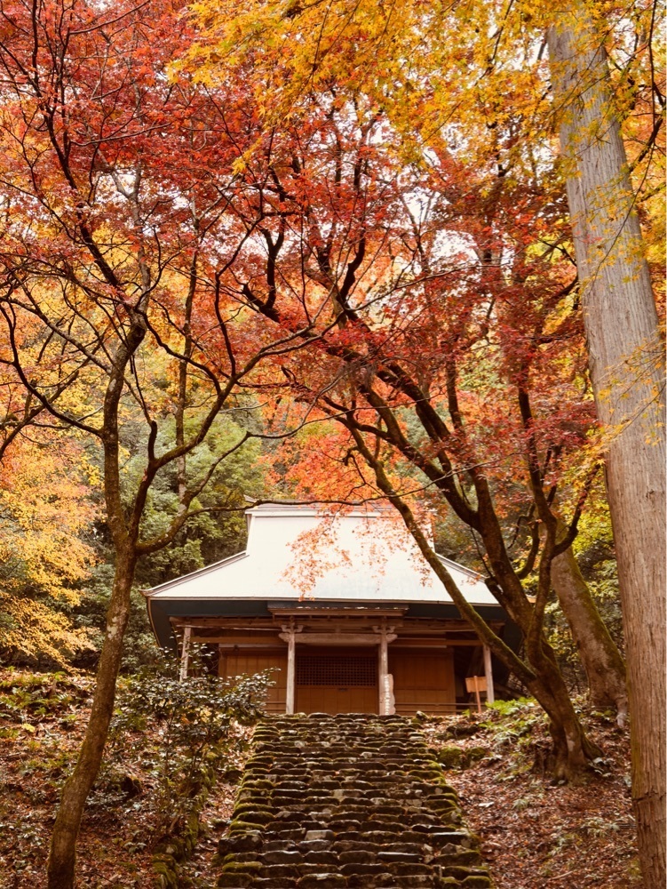 KEN AGENAさんが投稿した己高閣（鶏足寺収蔵庫）に関する口コミの画像