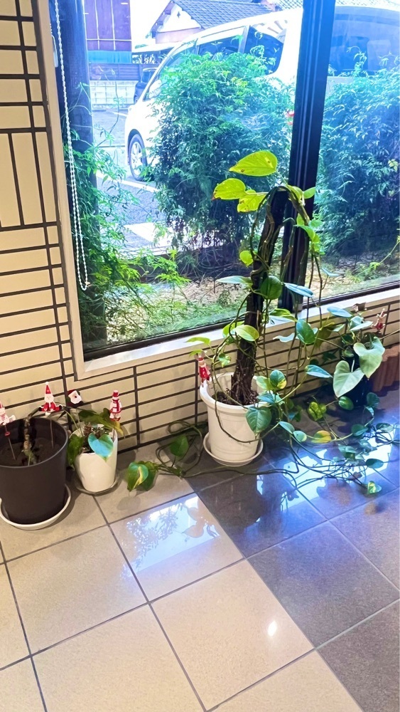 miiさんが投稿した川越第一ホテルに関する口コミの画像