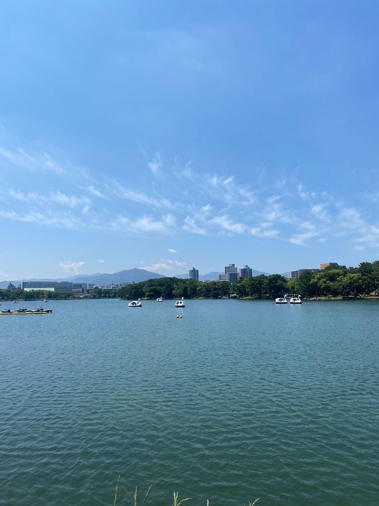 Rhapsodyさんが投稿したスターバックスコーヒー 福岡大濠公園店に関する口コミの画像