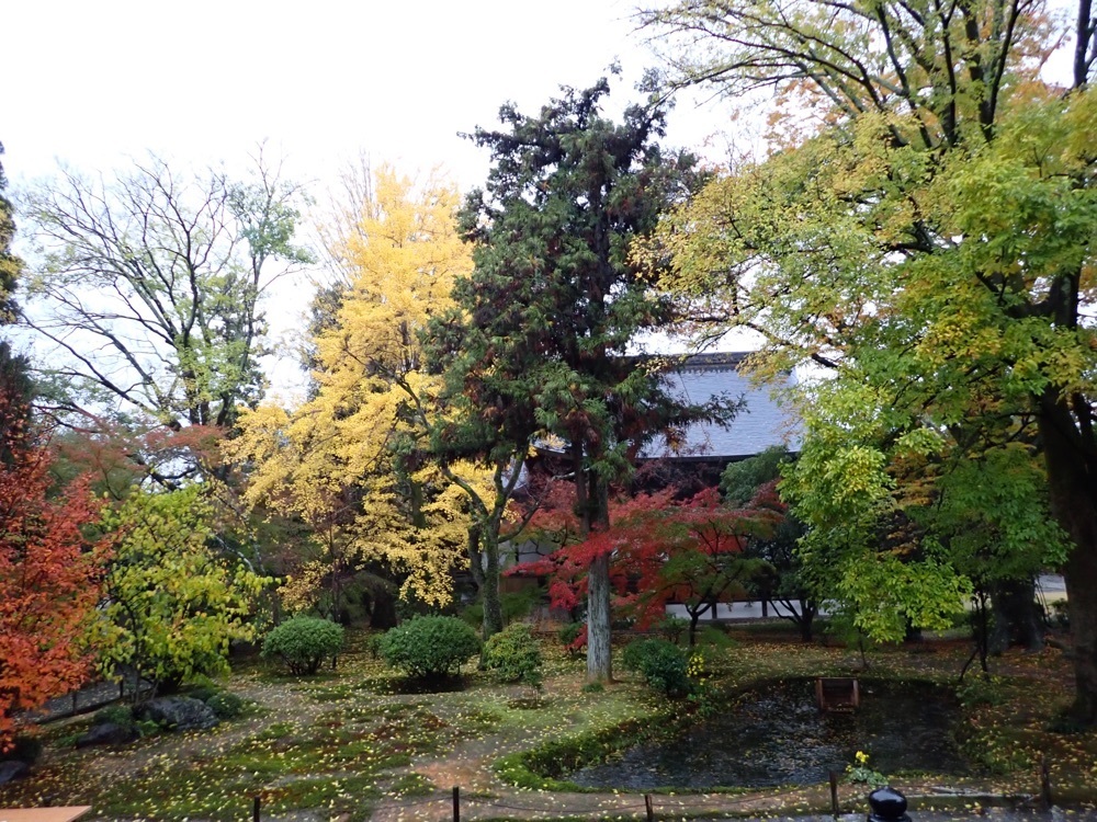 Howl Monさんが投稿した広隆寺に関する口コミの画像