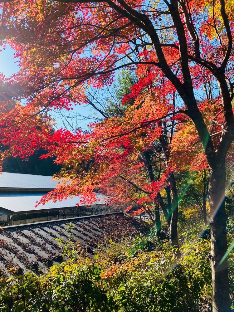 けんけんさんが投稿したカフェせせらぎに関する口コミの画像