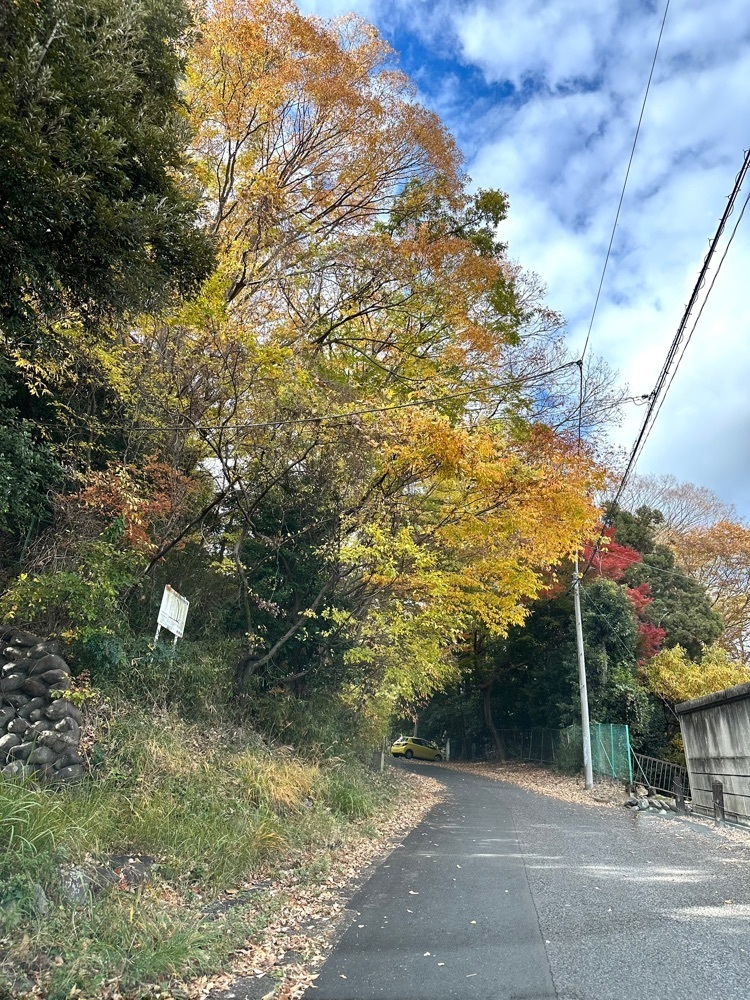 からっ風②さんが投稿した水道山公園に関する口コミの画像