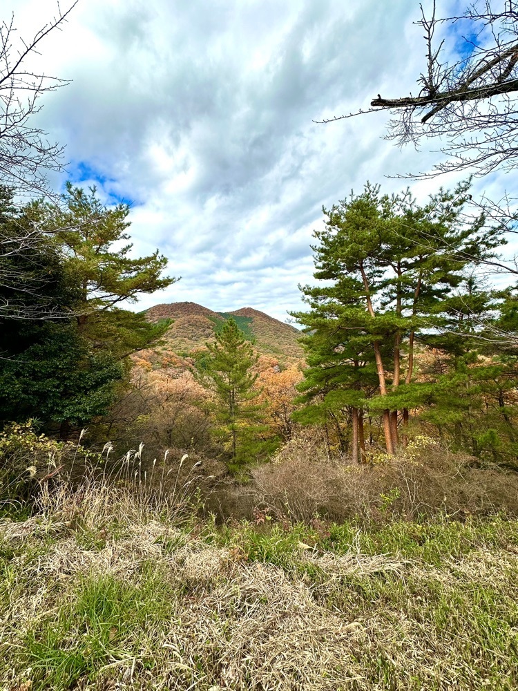 からっ風②さんが投稿した水道山公園に関する口コミの画像