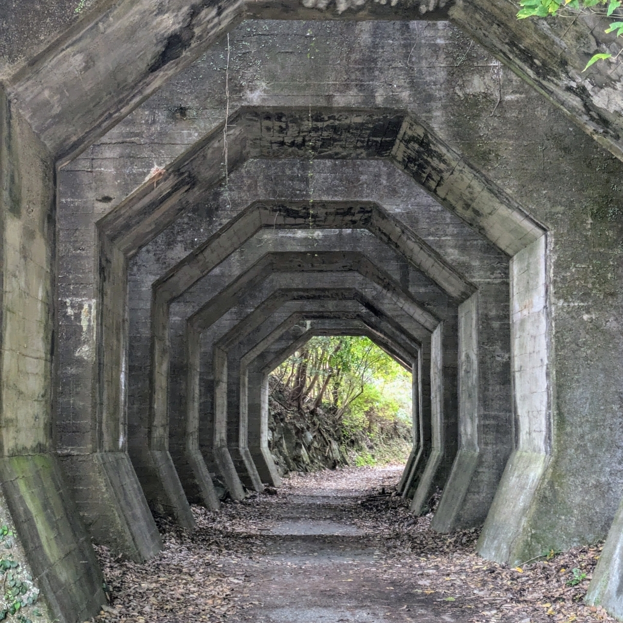 ばらっちゃんさんが投稿した八角トンネル（熊延鉄道遺構）に関する口コミの画像