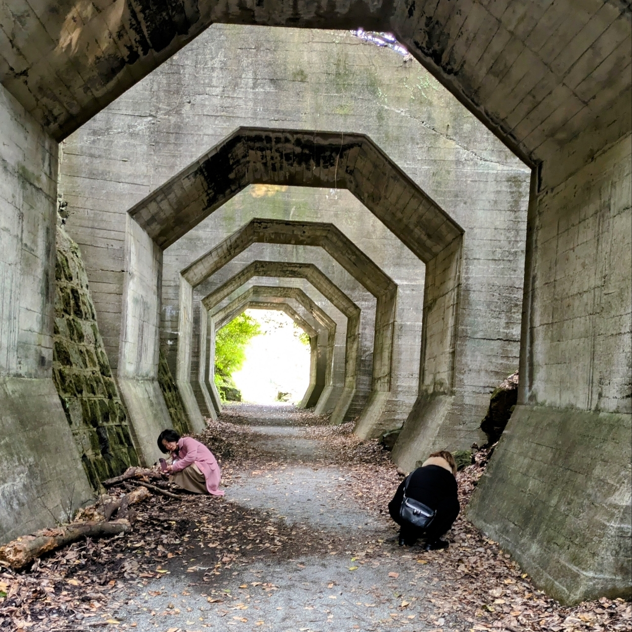 ばらっちゃんさんが投稿した八角トンネル（熊延鉄道遺構）に関する口コミの画像