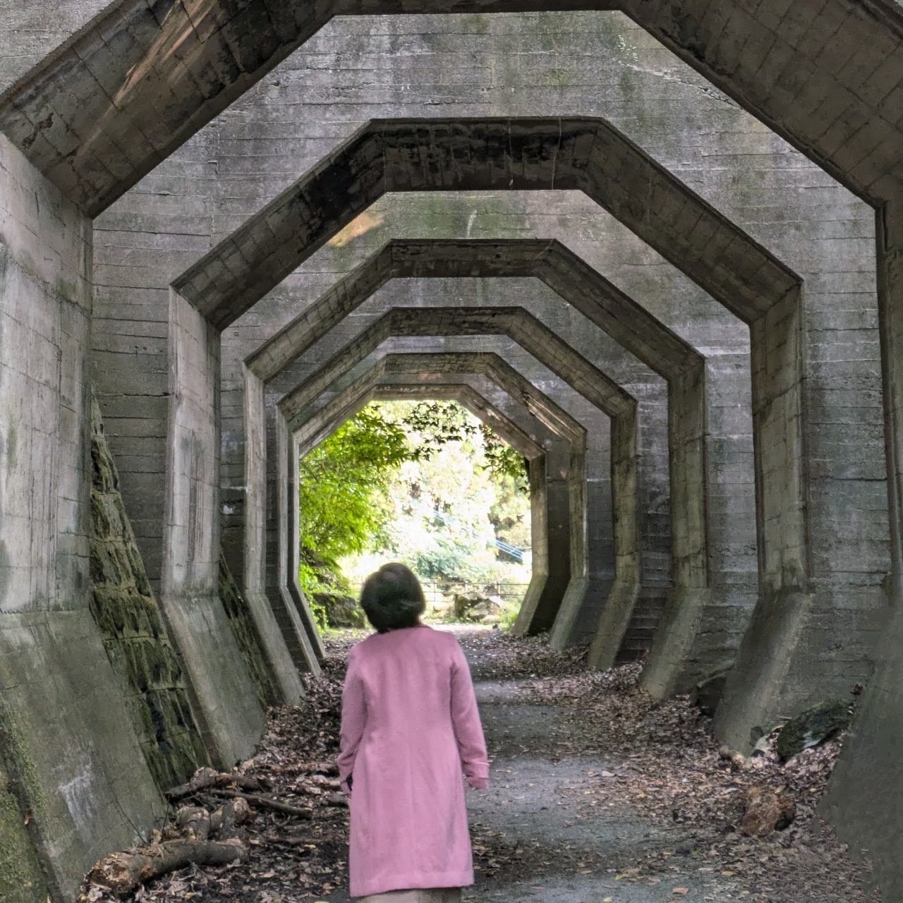 ばらっちゃんさんが投稿した八角トンネル（熊延鉄道遺構）に関する口コミの画像