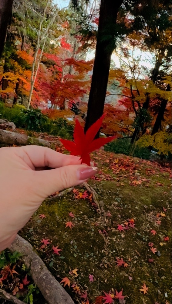 ぺたこ♡さんが投稿した再會 （サイカイ）に関する口コミの画像