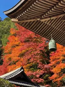 室生寺の紅葉