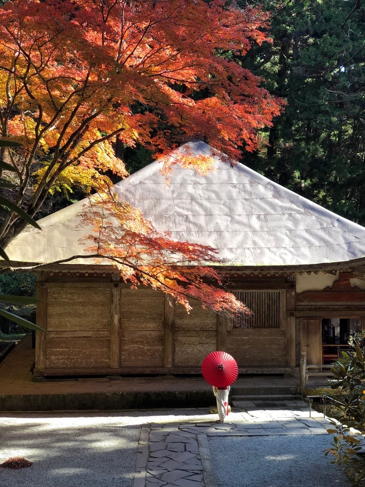 nicanさんが投稿した室生寺の紅葉に関する口コミの画像