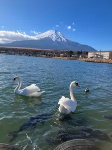 FISHING HOUSE なぎさ