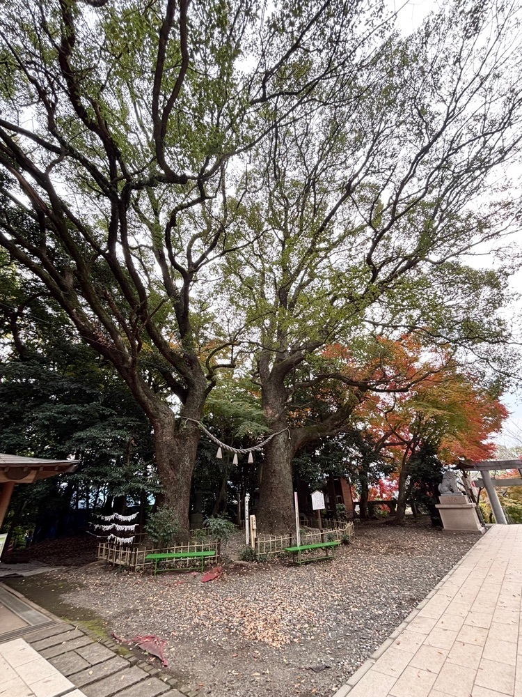 luckyさんが投稿した日吉神社（熊本県大津町）に関する口コミの画像