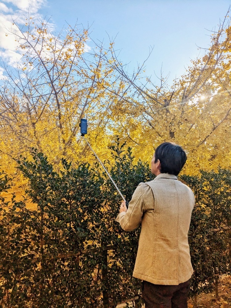 み〜のさんが投稿した祖父江ぎんなんパークに関する口コミの画像