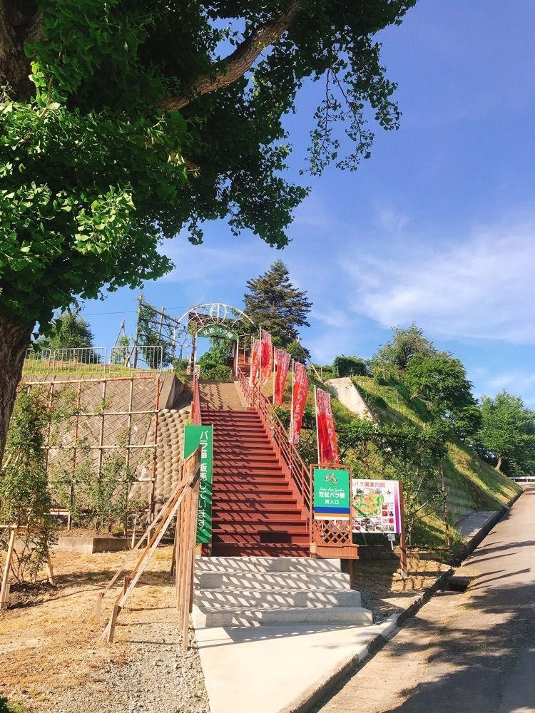 猫なぎ。さんが投稿した双松公園に関する口コミの画像