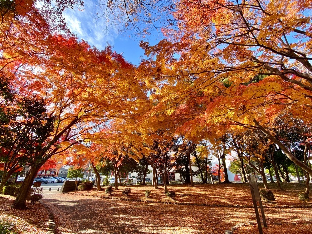 calm_gift_1030さんが投稿したワイルドバーン 宇都宮駅東店に関する口コミの画像