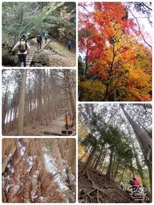 明神山