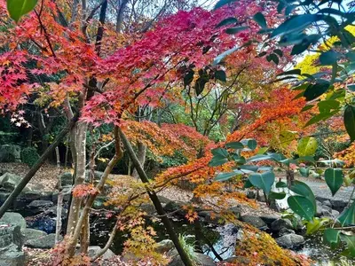 香澄公園
