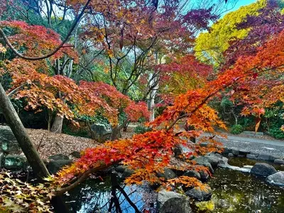 香澄公園 3枚目