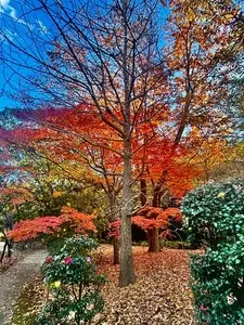 香澄公園 2枚目