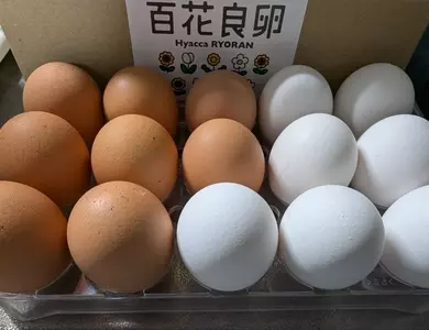 花園たまや（HanazonoTAMAYA【旧店名】うみたて産直卵直売所 タカハシ養鶏場）
