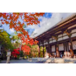 唐招提寺