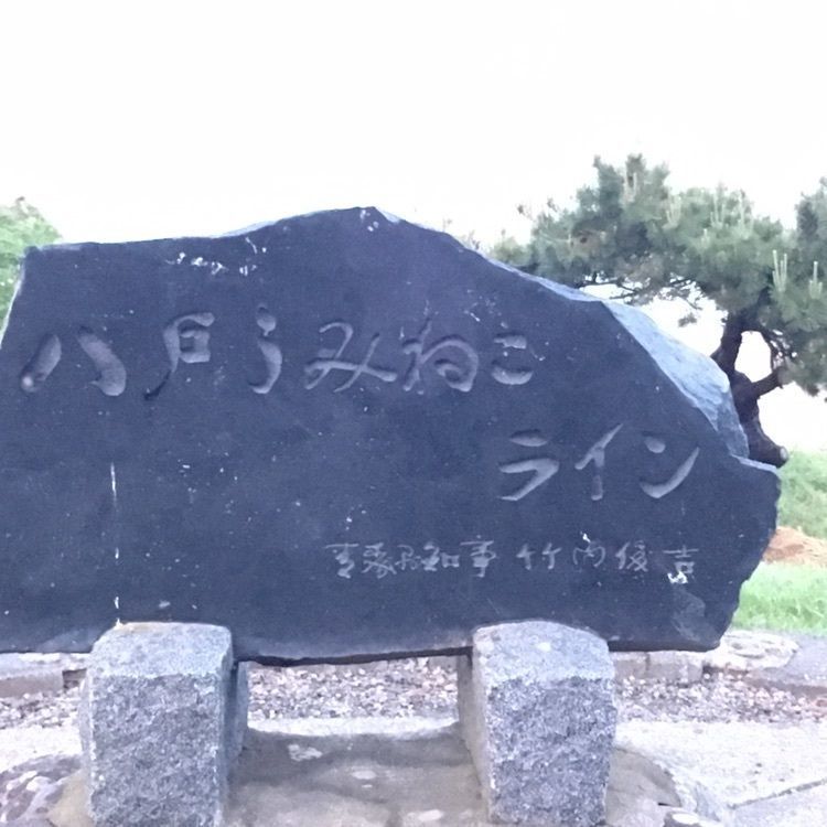 JACKさんが投稿した大須賀海岸に関する口コミの画像