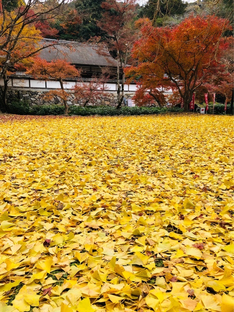 nicanさんが投稿した正暦寺に関する口コミの画像